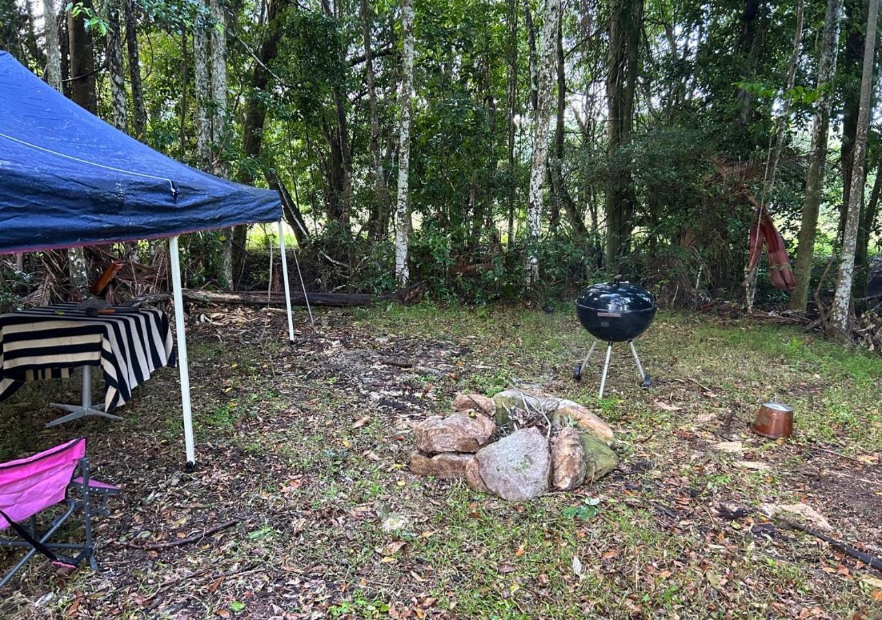 Sunshine Coast Retreat Your Own Private Golf Course Diddillibah Extérieur photo