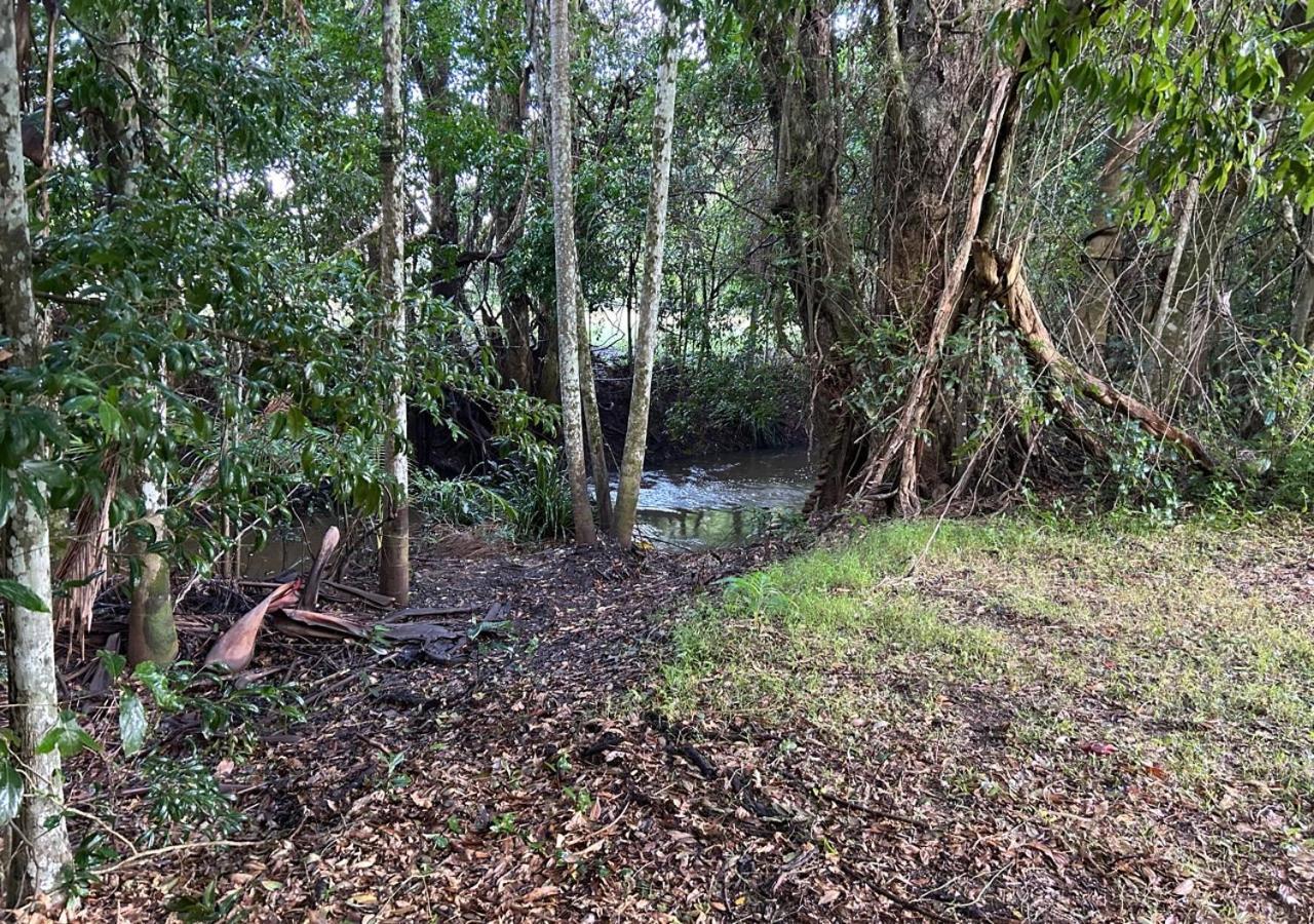 Sunshine Coast Retreat Your Own Private Golf Course Diddillibah Extérieur photo