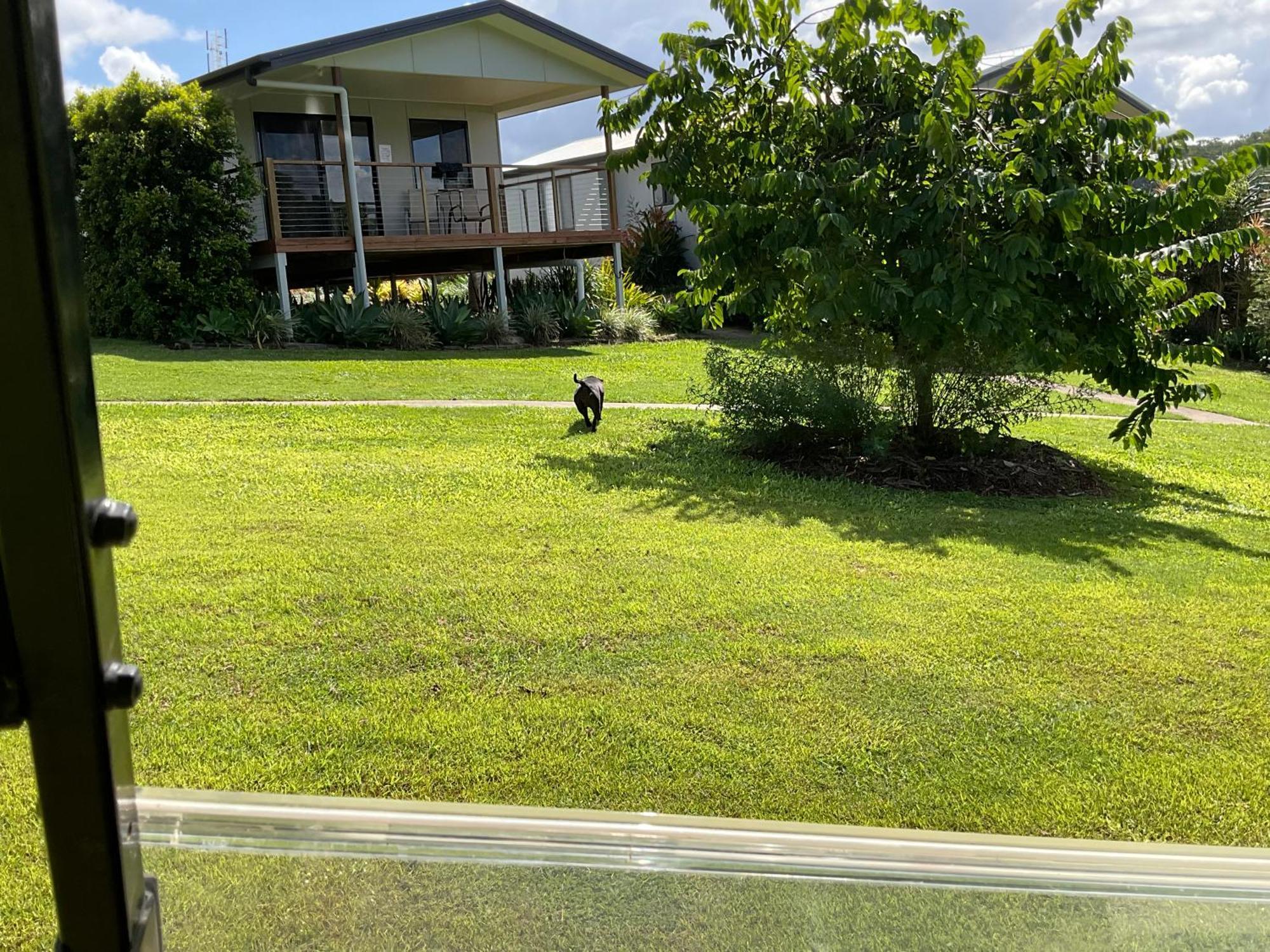 Sunshine Coast Retreat Your Own Private Golf Course Diddillibah Extérieur photo