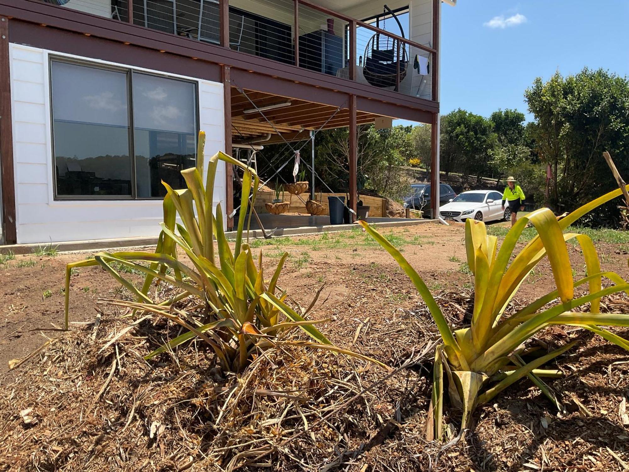Sunshine Coast Retreat Your Own Private Golf Course Diddillibah Extérieur photo